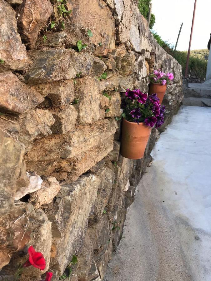 Vila Casa Da Clarinha Castelo de Paiva Exteriér fotografie